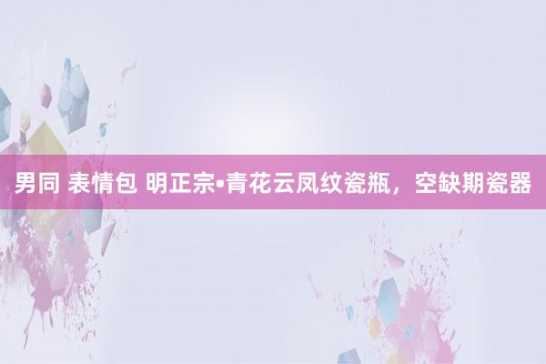 男同 表情包 明正宗•青花云凤纹瓷瓶,空缺期瓷器