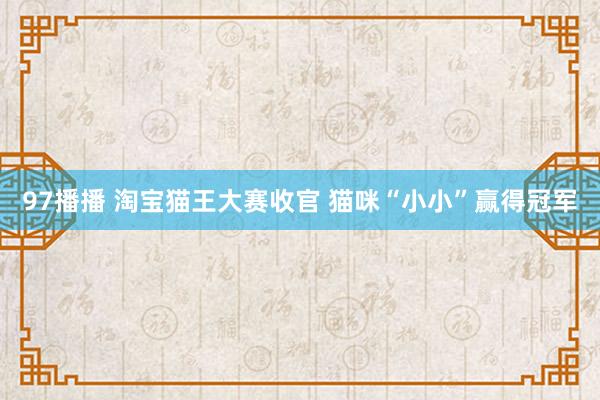 97播播 淘宝猫王大赛收官 猫咪“小小”赢得冠军