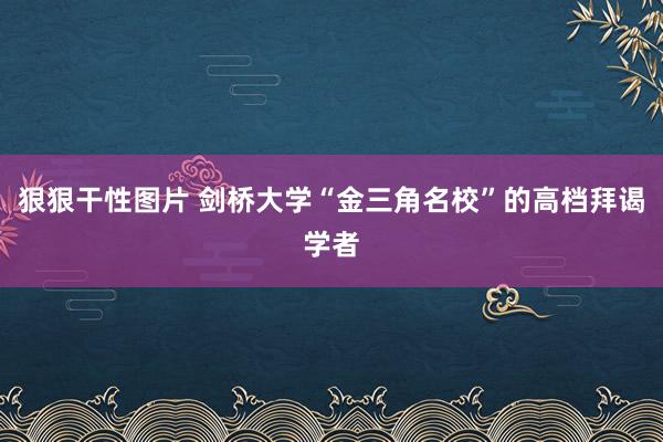狠狠干性图片 剑桥大学“金三角名校”的高档拜谒学者