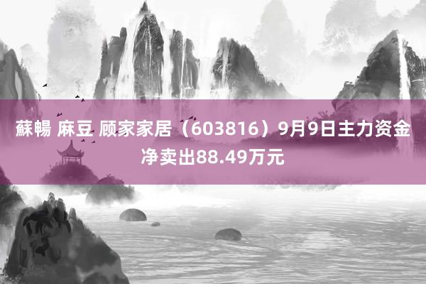 蘇暢 麻豆 顾家家居（603816）9月9日主力资金净卖出88.49万元