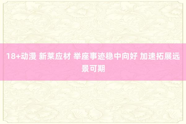 18+动漫 新莱应材 举座事迹稳中向好 加速拓展远景可期