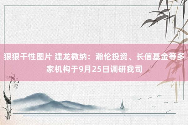 狠狠干性图片 建龙微纳：瀚伦投资、长信基金等多家机构于9月25日调研我司