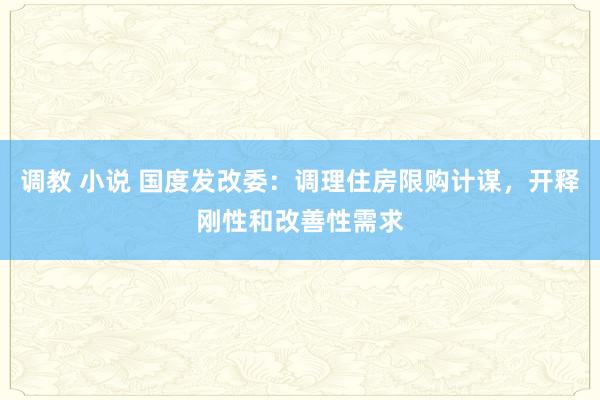调教 小说 国度发改委：调理住房限购计谋，开释刚性和改善性需求