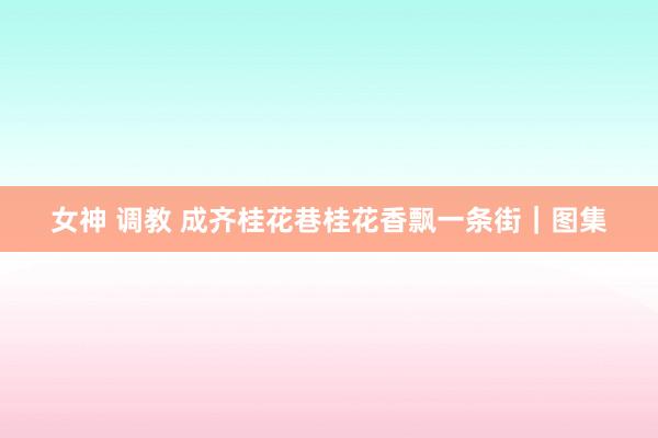 女神 调教 成齐桂花巷桂花香飘一条街｜图集