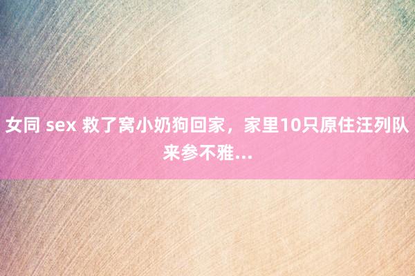女同 sex 救了窝小奶狗回家，家里10只原住汪列队来参不雅...