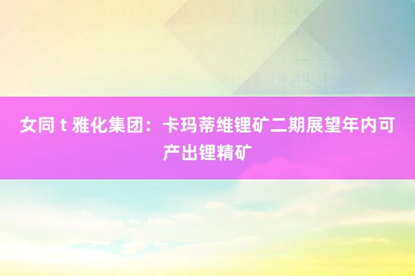 女同 t 雅化集团：卡玛蒂维锂矿二期展望年内可产出锂精矿