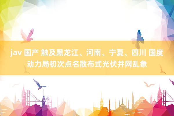 jav 国产 触及黑龙江、河南、宁夏、四川 国度动力局初次点名散布式光伏并网乱象