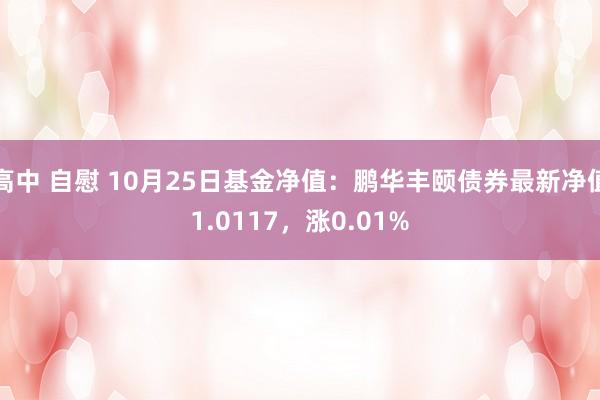 高中 自慰 10月25日基金净值：鹏华丰颐债券最新净值1.0117，涨0.01%