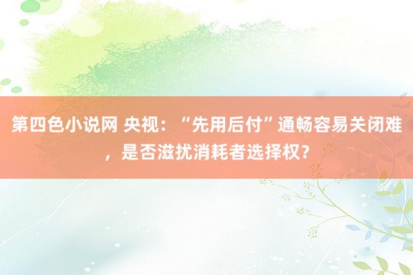 第四色小说网 央视：“先用后付”通畅容易关闭难，是否滋扰消耗者选择权？
