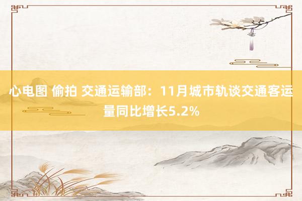 心电图 偷拍 交通运输部：11月城市轨谈交通客运量同比增长5.2%