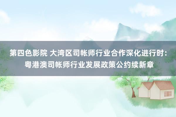 第四色影院 大湾区司帐师行业合作深化进行时： 粤港澳司帐师行业发展政策公约续新章