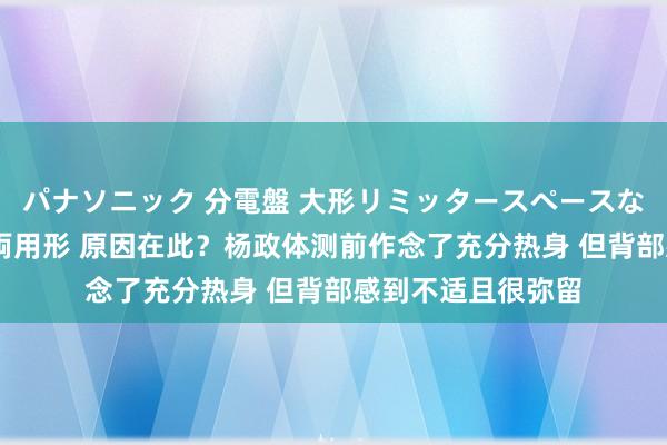 パナソニック 分電盤 大形リミッタースペースなし 露出・半埋込両用形 原因在此？杨政体测前作念了充分热身 但背部感到不适且很弥留