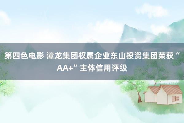 第四色电影 漳龙集团权属企业东山投资集团荣获“AA+”主体信用评级
