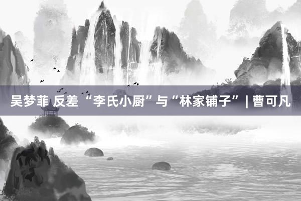 吴梦菲 反差 “李氏小厨”与“林家铺子” | 曹可凡
