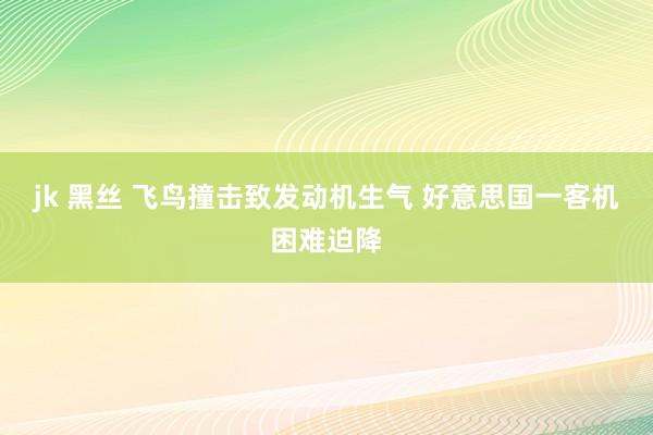 jk 黑丝 飞鸟撞击致发动机生气 好意思国一客机困难迫降