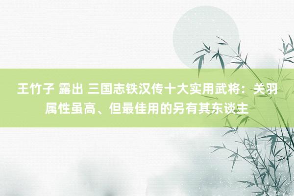 王竹子 露出 三国志铁汉传十大实用武将：关羽属性虽高、但最佳用的另有其东谈主