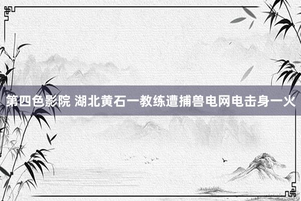 第四色影院 湖北黄石一教练遭捕兽电网电击身一火