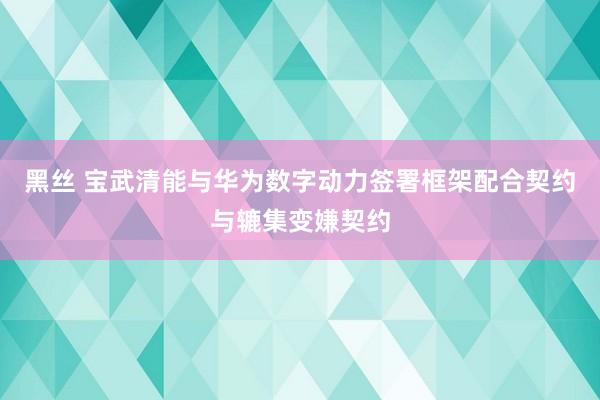 黑丝 宝武清能与华为数字动力签署框架配合契约与辘集变嫌契约