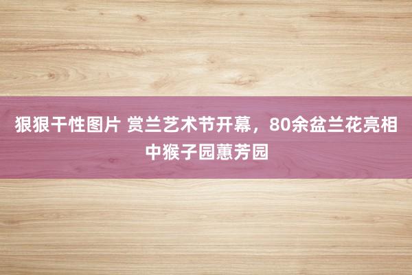 狠狠干性图片 赏兰艺术节开幕，80余盆兰花亮相中猴子园蕙芳园