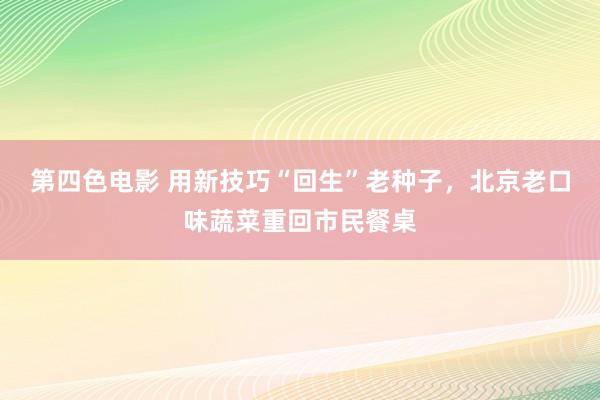 第四色电影 用新技巧“回生”老种子，北京老口味蔬菜重回市民餐桌