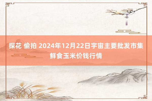 探花 偷拍 2024年12月22日宇宙主要批发市集鲜食玉米价钱行情