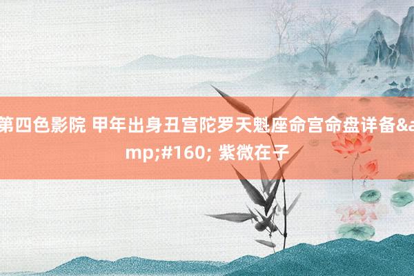 第四色影院 甲年出身丑宫陀罗天魁座命宫命盘详备  紫微在子