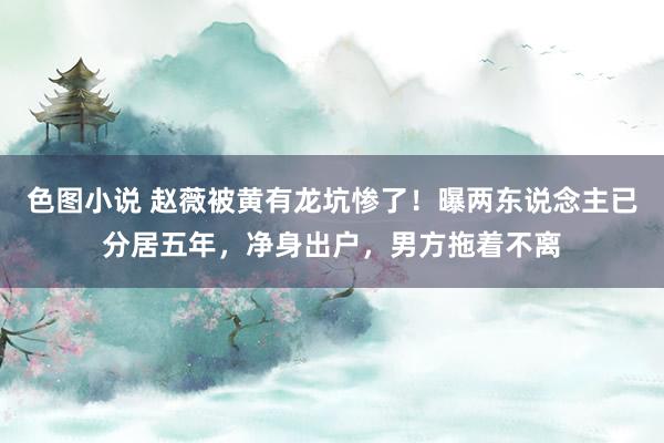 色图小说 赵薇被黄有龙坑惨了！曝两东说念主已分居五年，净身出户，男方拖着不离