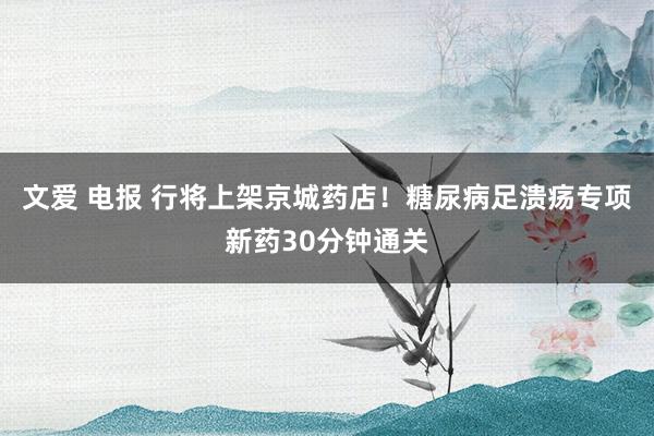 文爱 电报 行将上架京城药店！糖尿病足溃疡专项新药30分钟通关