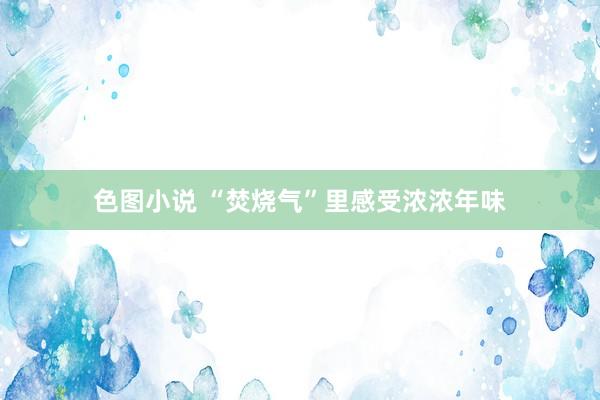 色图小说 “焚烧气”里感受浓浓年味