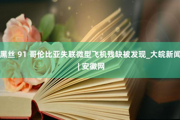 黑丝 91 哥伦比亚失联微型飞机残缺被发现_大皖新闻 | 安徽网