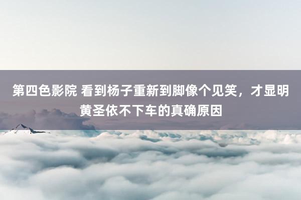 第四色影院 看到杨子重新到脚像个见笑，才显明黄圣依不下车的真确原因