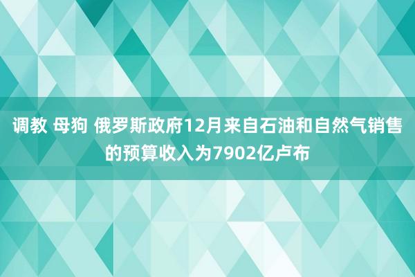 调教 母狗 俄罗斯政府12月来自石油和自然气销售的预算收入为7902亿卢布
