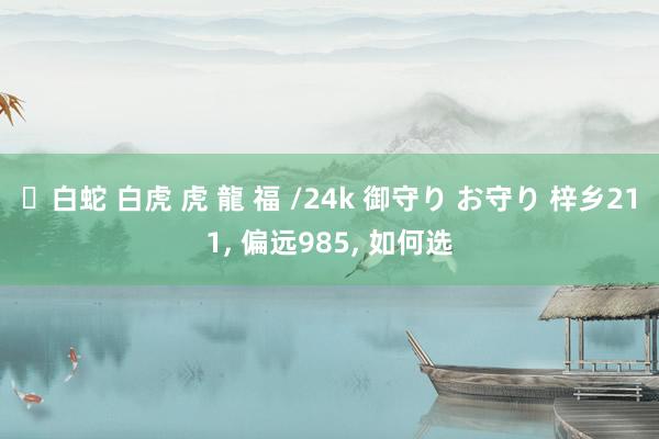 ✨白蛇 白虎 虎 龍 福 /24k 御守り お守り 梓乡211， 偏远985， 如何选