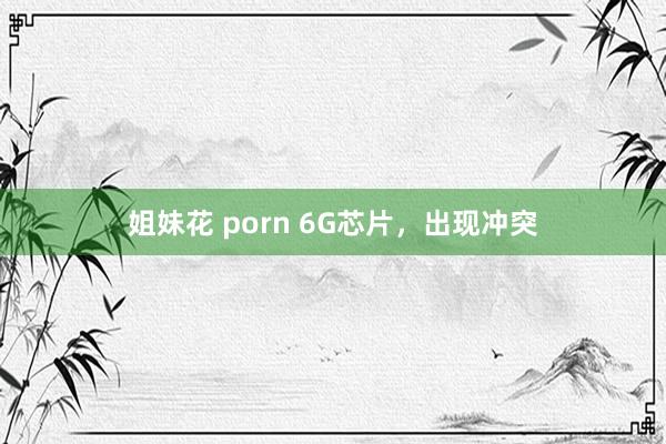 姐妹花 porn 6G芯片，出现冲突