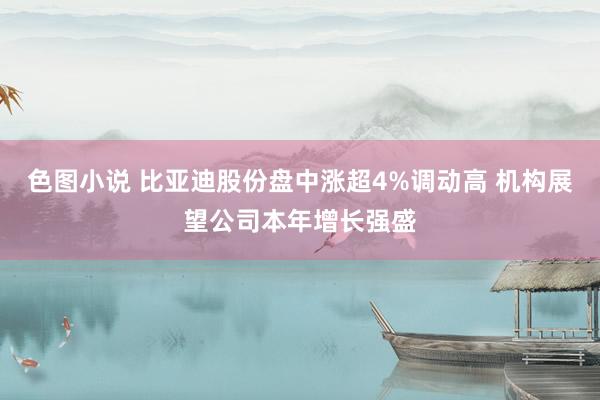色图小说 比亚迪股份盘中涨超4%调动高 机构展望公司本年增长强盛