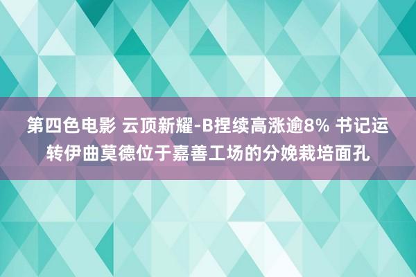 第四色电影 云顶新耀-B捏续高涨逾8% 书记运转伊曲莫德位于嘉善工场的分娩栽培面孔
