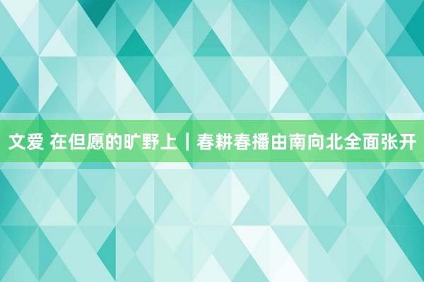 文爱 在但愿的旷野上｜春耕春播由南向北全面张开