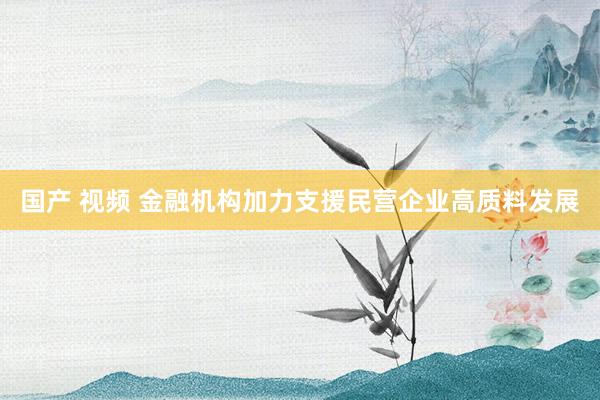 国产 视频 金融机构加力支援民营企业高质料发展