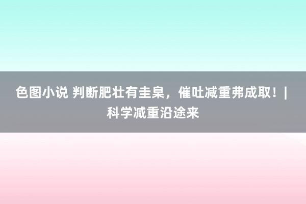 色图小说 判断肥壮有圭臬，催吐减重弗成取！| 科学减重沿途来