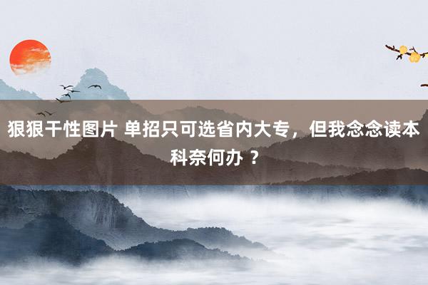 狠狠干性图片 单招只可选省内大专，但我念念读本科奈何办 ？