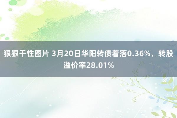 狠狠干性图片 3月20日华阳转债着落0.36%，转股溢价率28.01%