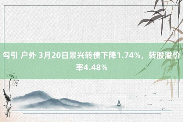 勾引 户外 3月20日景兴转债下降1.74%，转股溢价率4.48%
