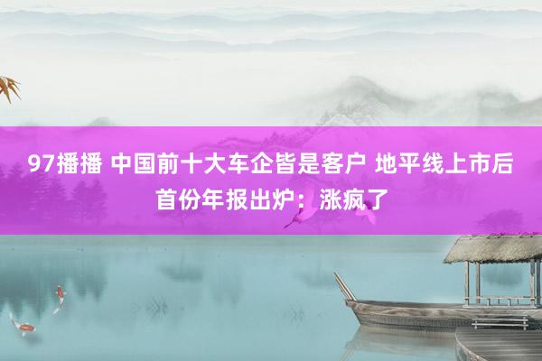 97播播 中国前十大车企皆是客户 地平线上市后首份年报出炉：涨疯了