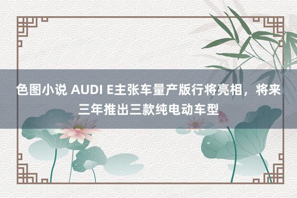 色图小说 AUDI E主张车量产版行将亮相，将来三年推出三款纯电动车型