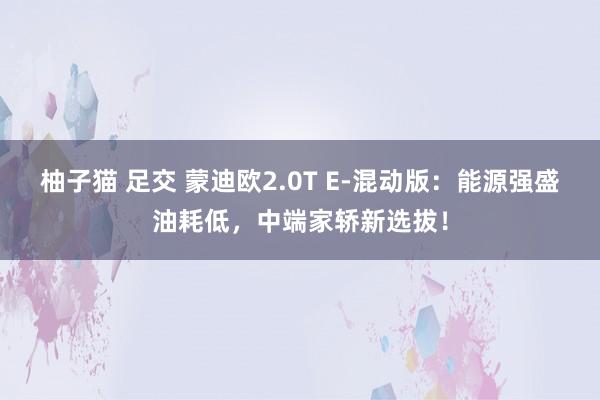 柚子猫 足交 蒙迪欧2.0T E-混动版：能源强盛油耗低，中端家轿新选拔！