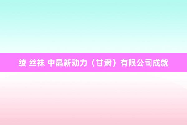 绫 丝袜 中晶新动力（甘肃）有限公司成就