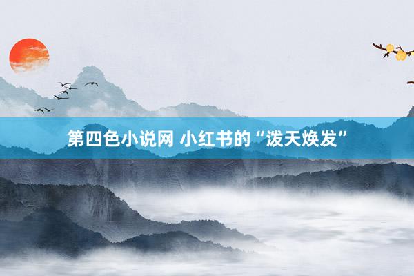 第四色小说网 小红书的“泼天焕发”