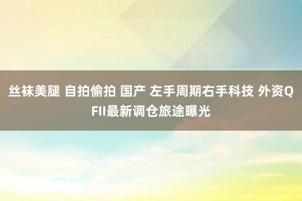 丝袜美腿 自拍偷拍 国产 左手周期右手科技 外资QFII最新调仓旅途曝光