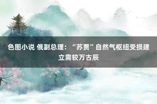 色图小说 俄副总理：“苏贾”自然气枢纽受损建立需较万古辰