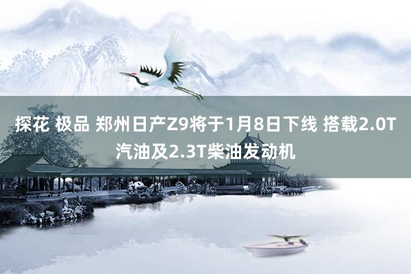探花 极品 郑州日产Z9将于1月8日下线 搭载2.0T汽油及2.3T柴油发动机